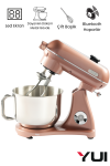 Easy Chef M122 Plus DC Motor Stand Mikser Çift Başlıklı Rose Gold