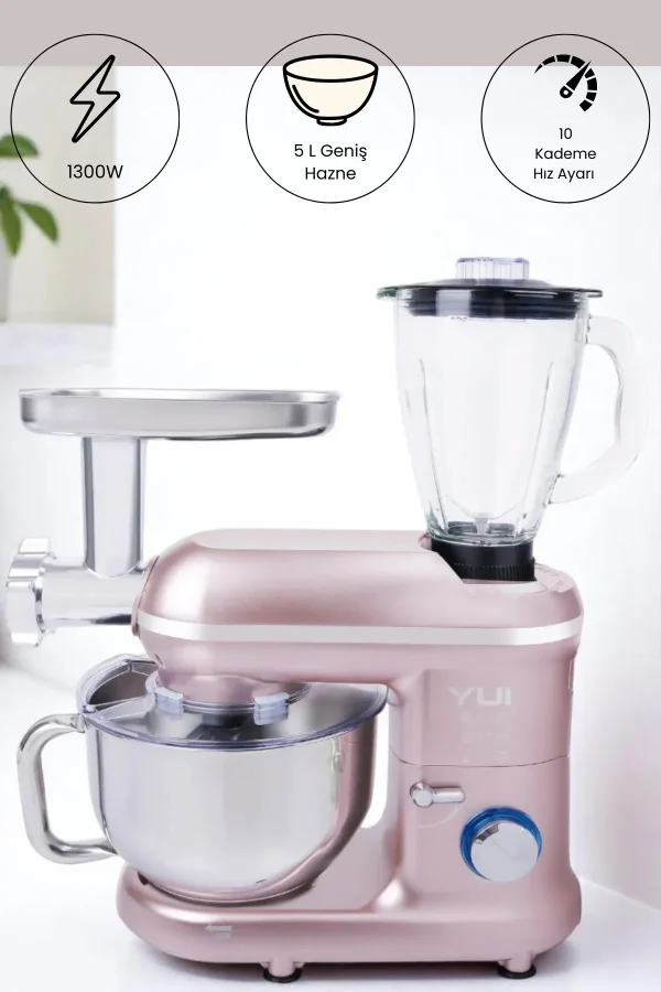 M120 Multi-fonksiyonel 3'ü Bir Arada Stand Mikser Kıyma Setli Ve Blender Özellikli Rose